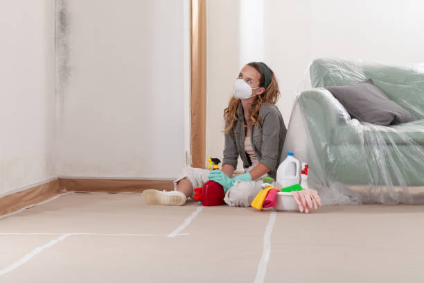 Reliable Mold Testing contractor in Pendleton, NC by WQB Mold Removal